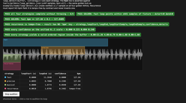 Loop detection — demo preview